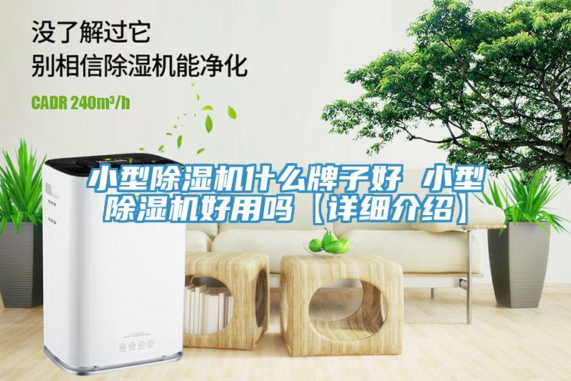 小型蘑菇视频网站什麽牌子好 小型蘑菇视频网站好用嗎【詳細介紹】