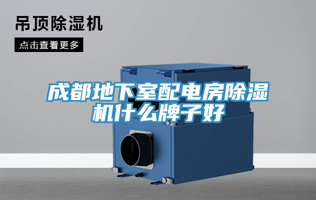 成都地下室配電房蘑菇视频网站什麽牌子好
