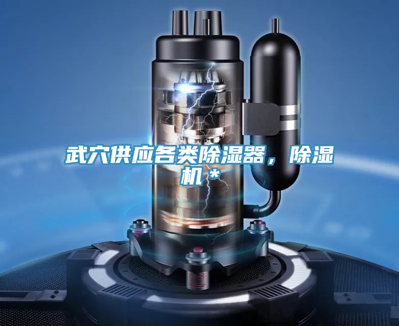 武穴供應各類除濕器，蘑菇视频网站＊