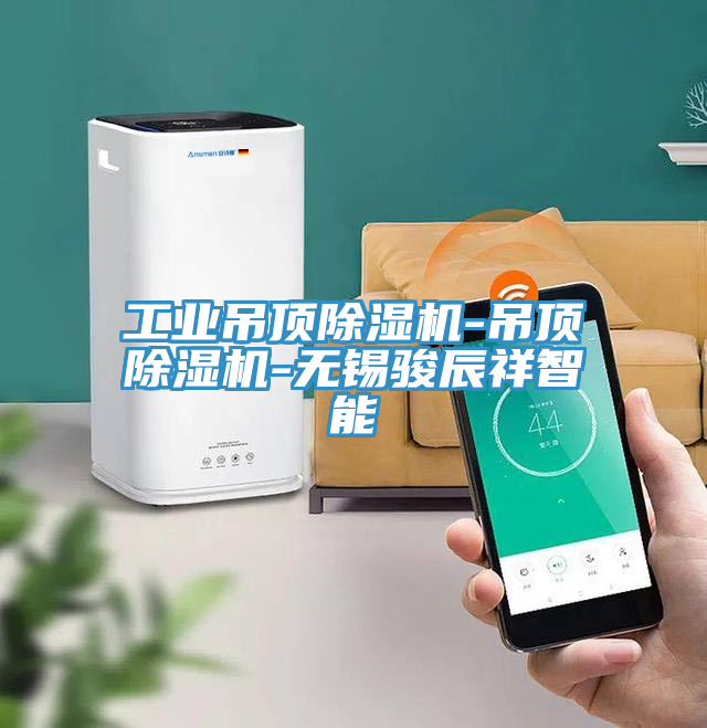 工業吊頂蘑菇视频网站-吊頂蘑菇视频网站-無錫駿辰祥智能