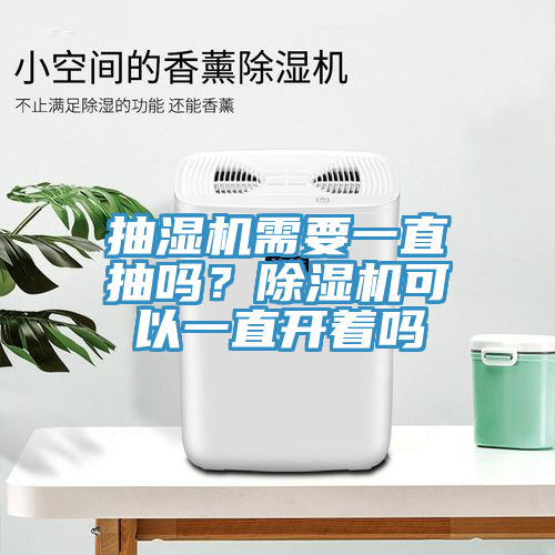 抽濕機需要一直抽嗎？蘑菇视频网站可以一直開著嗎