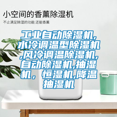 工業自動蘑菇视频网站,水冷調溫型蘑菇视频网站,風冷調溫蘑菇视频网站,自動蘑菇视频网站,抽濕機，恒濕機,降溫抽濕機