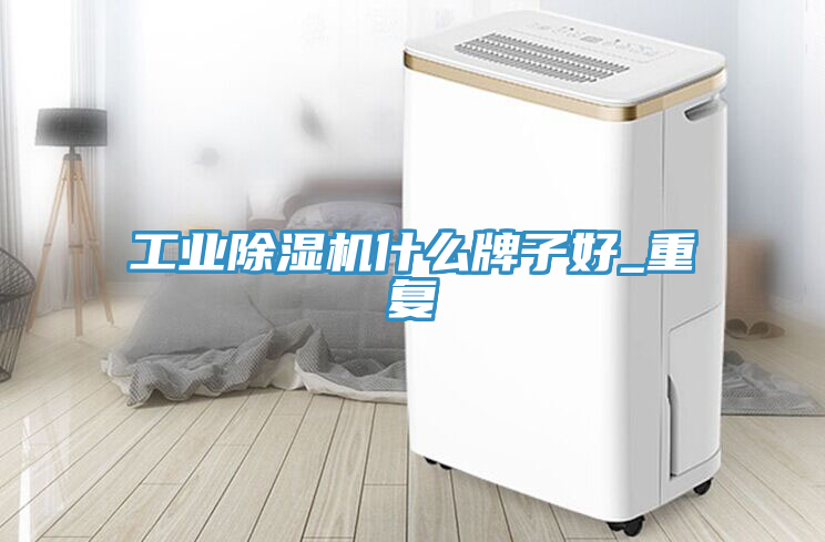 工業蘑菇视频网站什麽牌子好_重複
