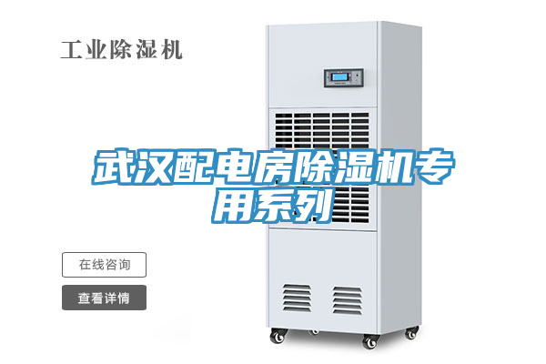 武漢配電房蘑菇视频网站專用係列