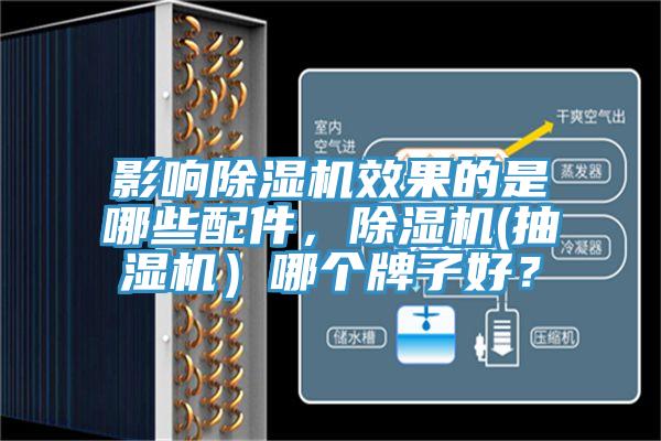 影響蘑菇视频网站效果的是哪些配件，蘑菇视频网站(抽濕機）哪個牌子好？