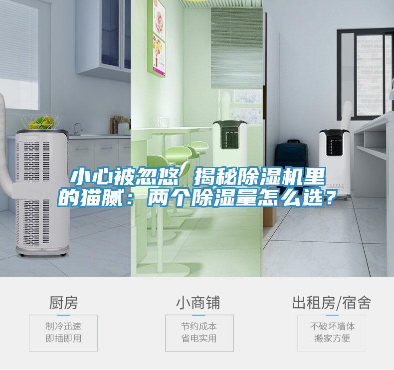 小心被忽悠 揭秘蘑菇视频网站裏的貓膩：兩個除濕量怎麽選？