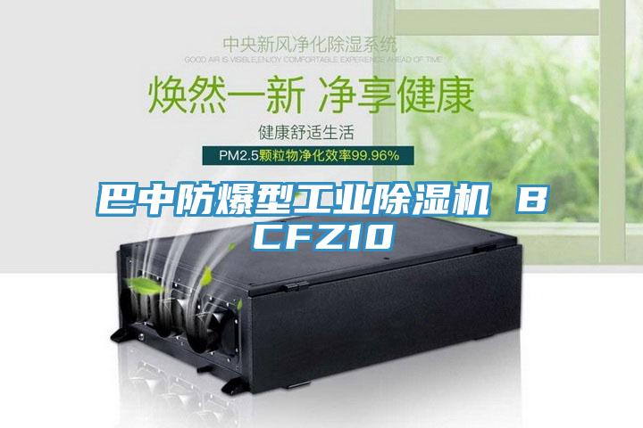 巴中防爆型工業蘑菇视频网站 BCFZ10