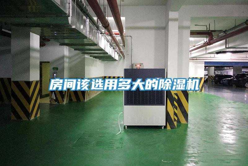 房間該選用多大的蘑菇视频网站
