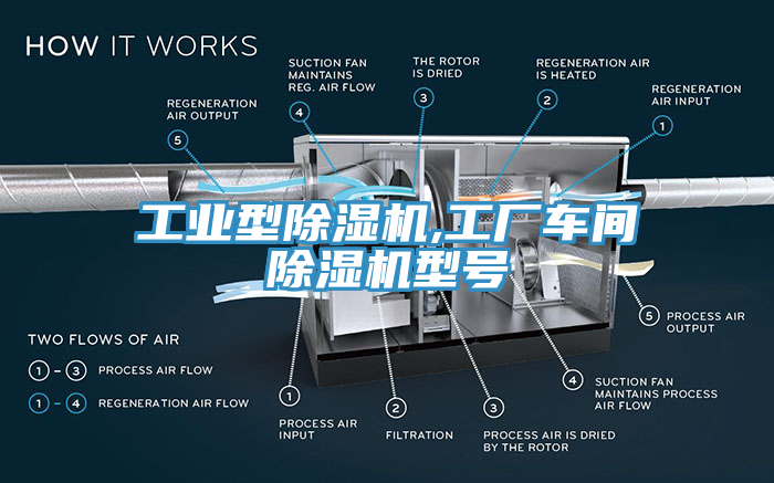 工業型蘑菇视频网站,工廠車間蘑菇视频网站型號
