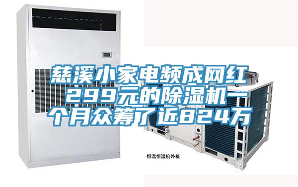 慈溪小家電頻成網紅 299元的蘑菇视频网站一個月眾籌了近824萬