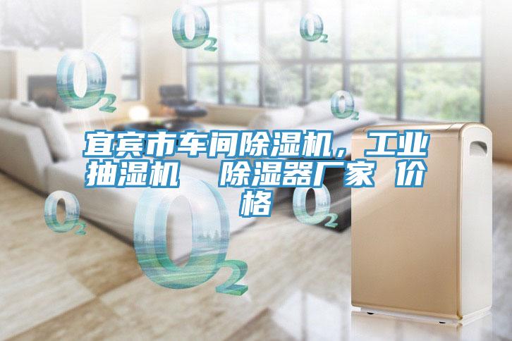 宜賓市車間蘑菇视频网站，工業抽濕機  除濕器廠家 價格