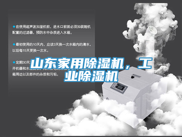 山東家用蘑菇视频网站，工業蘑菇视频网站