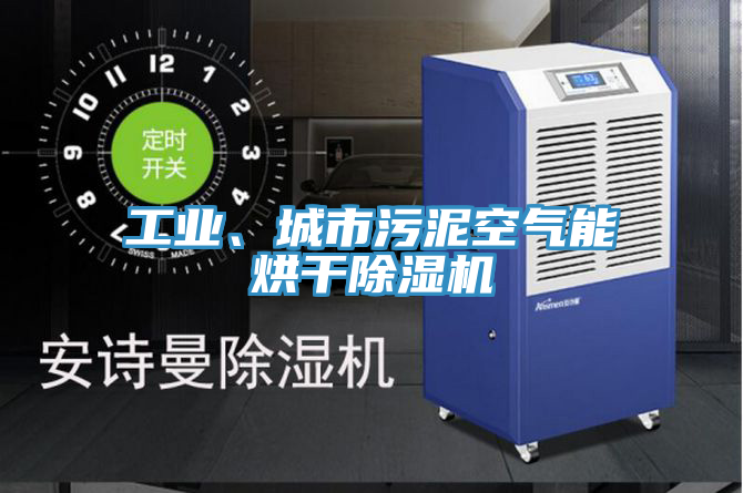 工業、城市汙泥空氣能烘幹蘑菇视频网站