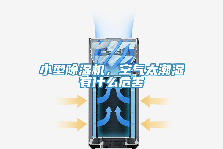 小型蘑菇视频网站，空氣太潮濕有什麽危害