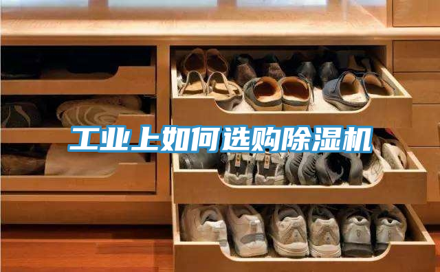 工業上如何選購蘑菇视频网站