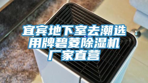 宜賓地下室去潮選用牌碧菱蘑菇视频网站廠家直營