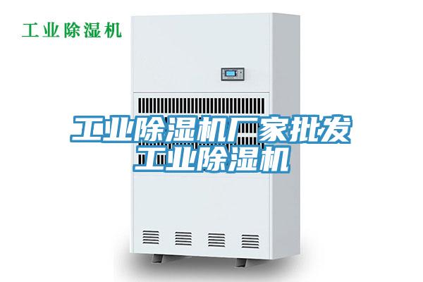 工業蘑菇视频网站廠家批發工業蘑菇视频网站