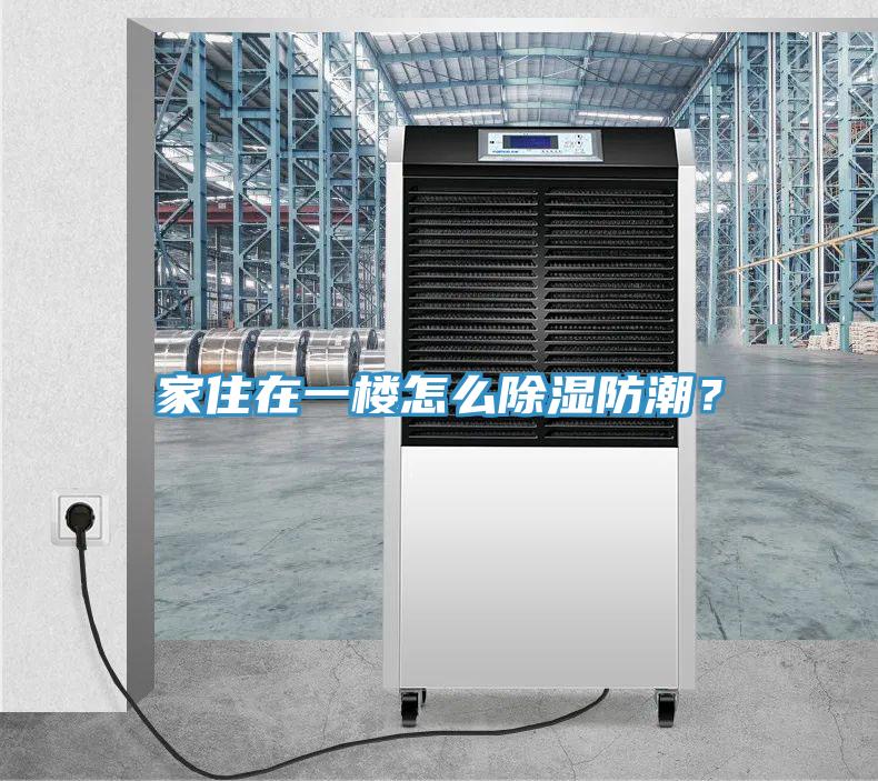 家住在一樓怎麽除濕防潮？