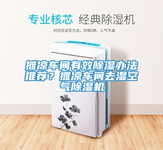 攤涼車間有效除濕辦法推薦？攤涼車間去濕空氣蘑菇视频网站