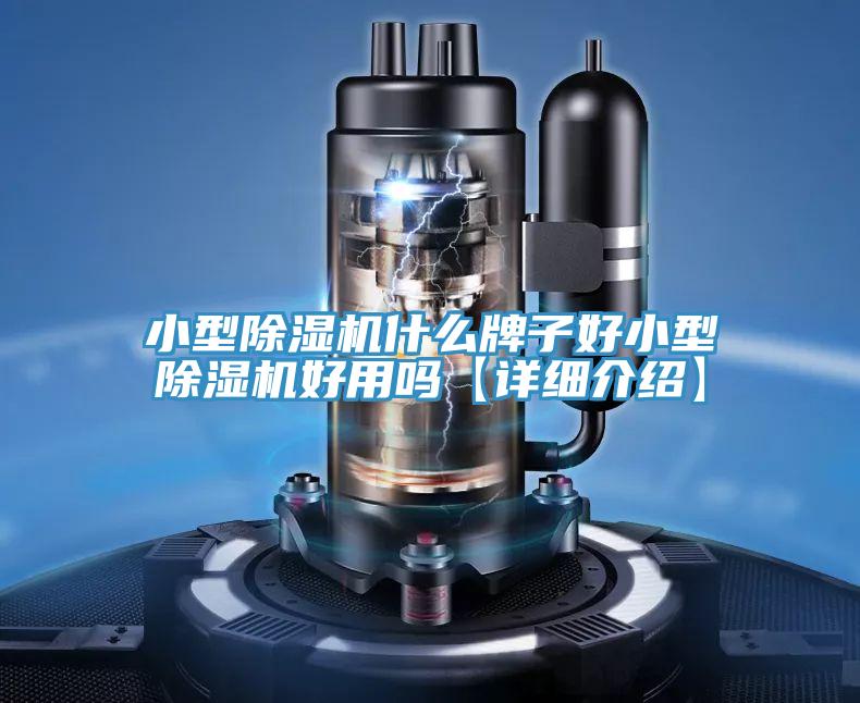 小型蘑菇视频网站什麽牌子好小型蘑菇视频网站好用嗎【詳細介紹】