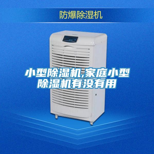 小型蘑菇视频网站,家庭小型蘑菇视频网站有沒有用