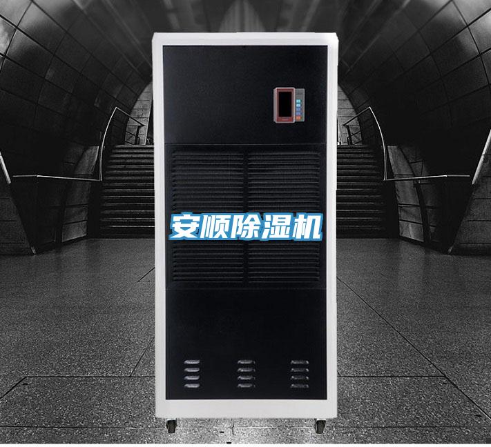 安順蘑菇视频网站