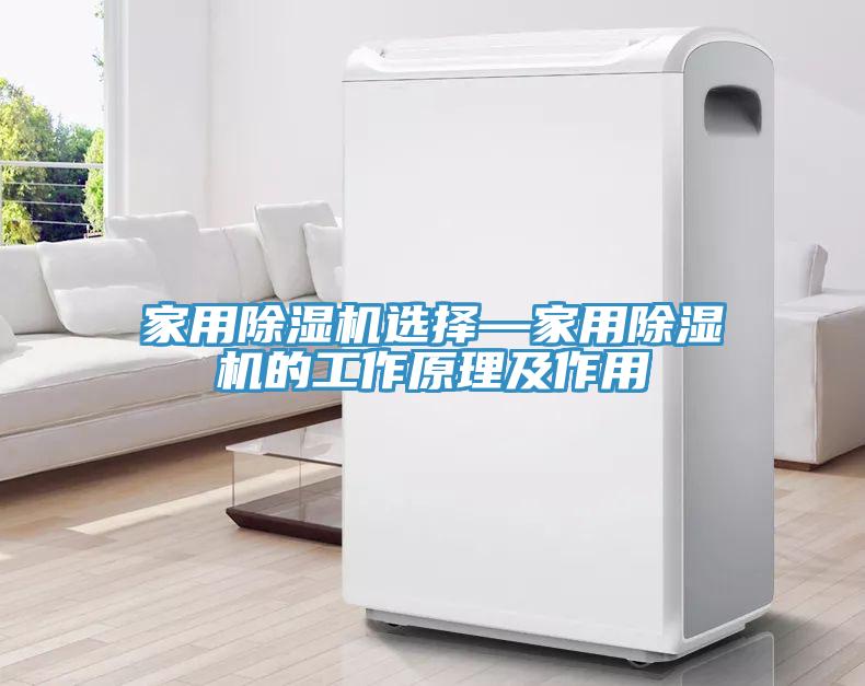 家用蘑菇视频网站選擇—家用蘑菇视频网站的工作原理及作用