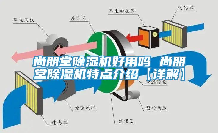 尚朋堂蘑菇视频网站好用嗎 尚朋堂蘑菇视频网站特點介紹【詳解】