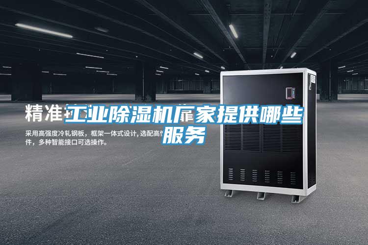 工業蘑菇视频网站廠家提供哪些服務
