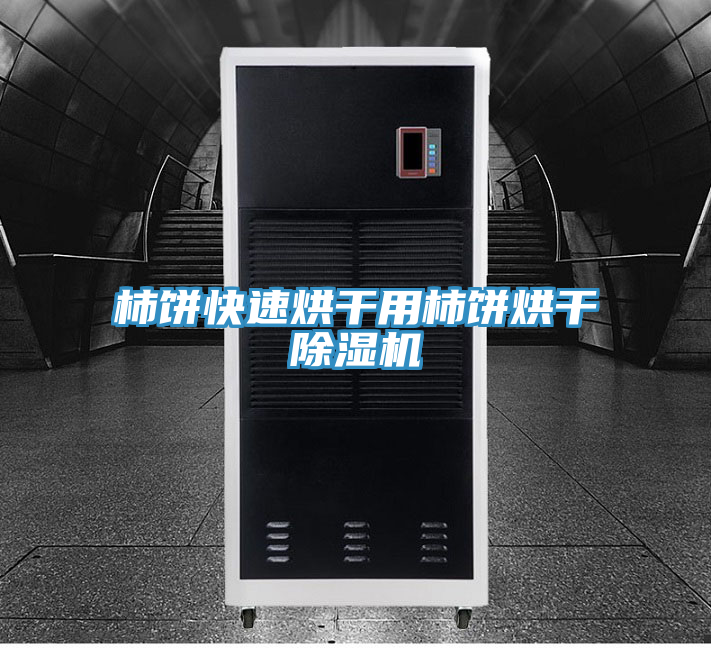 柿餅快速烘幹用柿餅烘幹蘑菇视频网站
