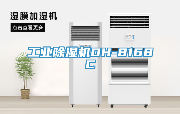工業蘑菇视频网站DH-8168C