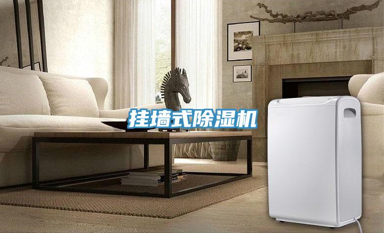掛牆式蘑菇视频网站