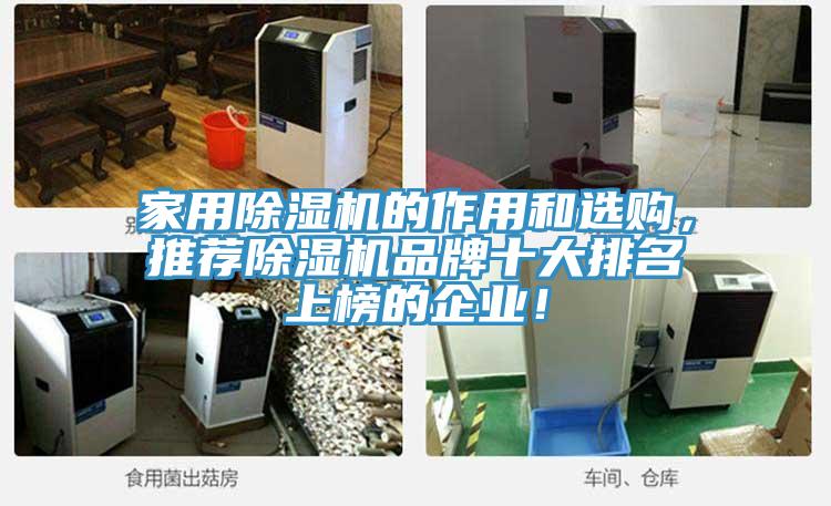 家用蘑菇视频网站的作用和選購，推薦蘑菇视频网站品牌十大排名上榜的企業！