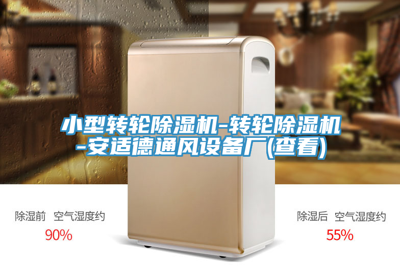 小型轉輪蘑菇视频网站-轉輪蘑菇视频网站-安適德通風設備廠(查看)