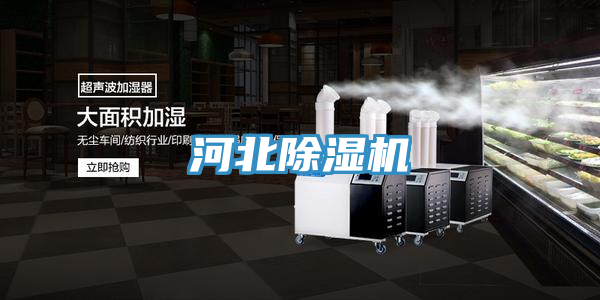 河北蘑菇视频网站