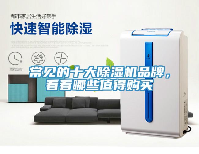 常見的十大蘑菇视频网站品牌，看看哪些值得購買