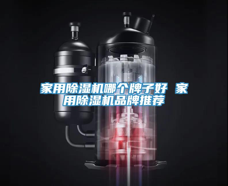 家用蘑菇视频网站哪個牌子好 家用蘑菇视频网站品牌推薦