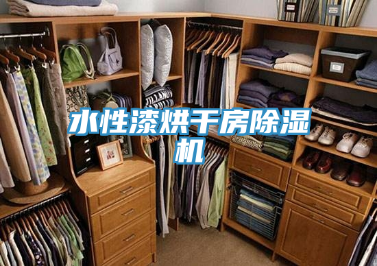 水性漆烘幹房蘑菇视频网站