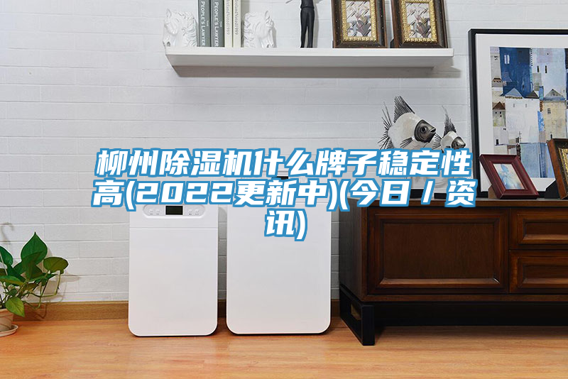 柳州蘑菇视频网站什麽牌子穩定性高(2022更新中)(今日／資訊)
