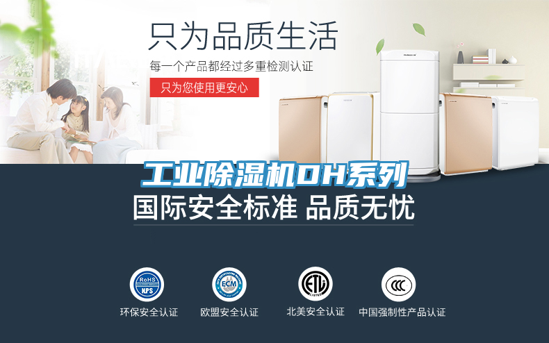 工業蘑菇视频网站DH係列