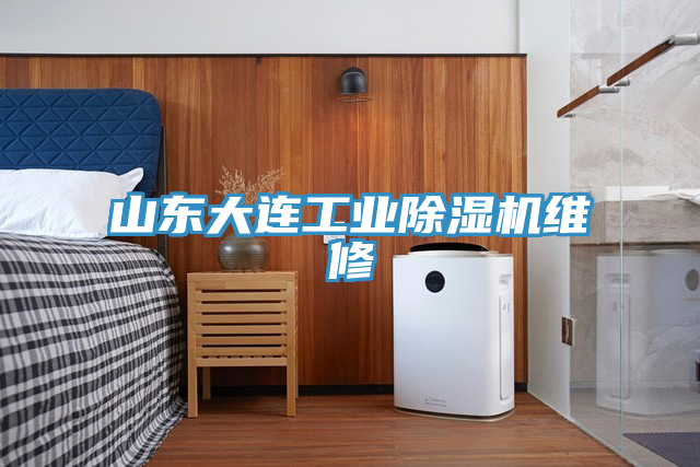 山東大連工業蘑菇视频网站維修