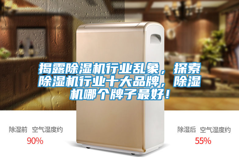 揭露蘑菇视频网站行業亂象，探索蘑菇视频网站行業十大品牌，蘑菇视频网站哪個牌子最好！