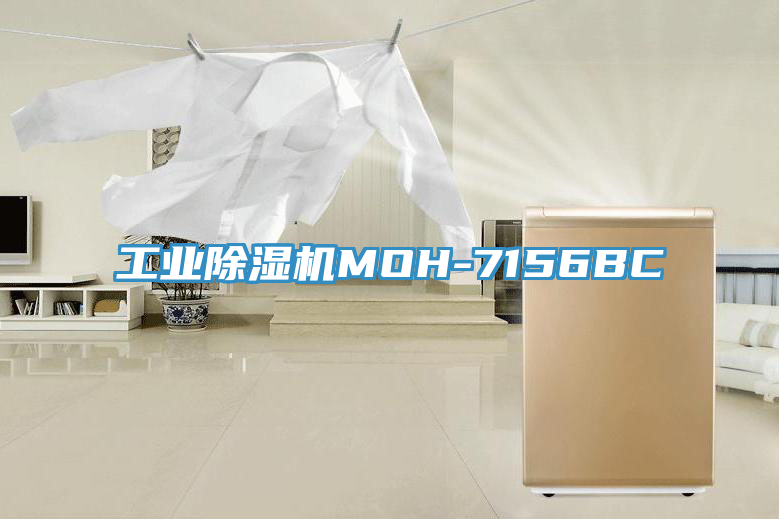 工業蘑菇视频网站MOH-7156BC