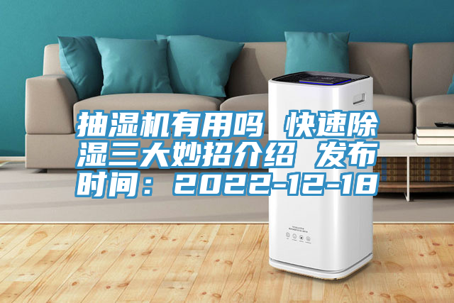 抽濕機有用嗎 快速除濕三大妙招介紹 發布時間：2022-12-18