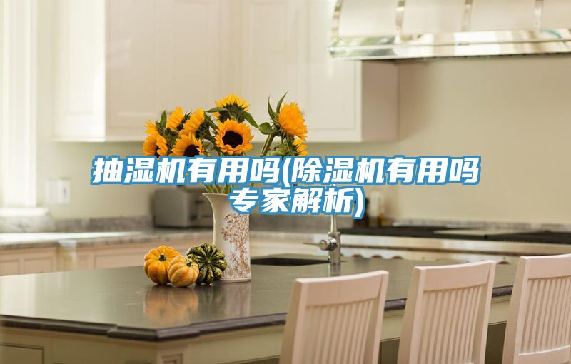 抽濕機有用嗎(蘑菇视频网站有用嗎 專家解析)