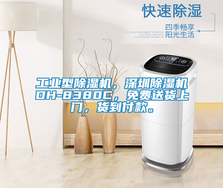 工業型蘑菇视频网站，深圳蘑菇视频网站DH-8380C，免費送貨上門，貨到付款。