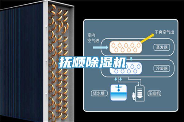 撫順蘑菇视频网站