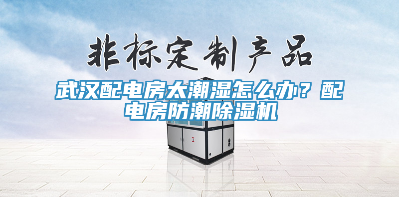 武漢配電房太潮濕怎麽辦？配電房防潮蘑菇视频网站
