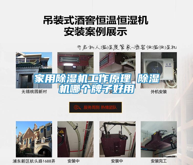 家用蘑菇视频网站工作原理 蘑菇视频网站哪個牌子好用