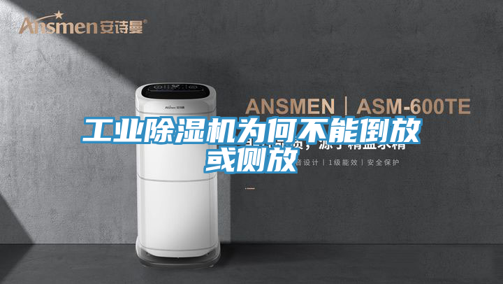 工業蘑菇视频网站為何不能倒放或側放